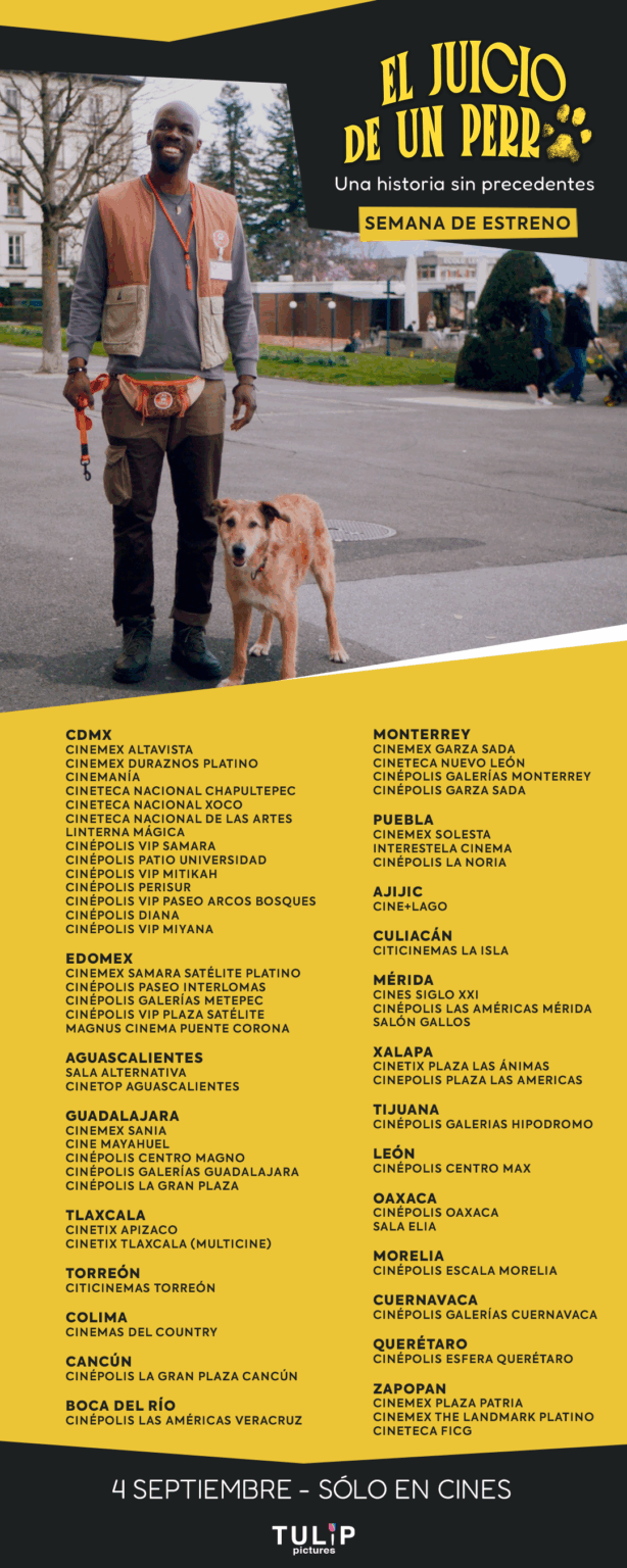 “El Juicio de un Perro” llega a México: una fábula mordaz sobre justicia, humanidad y animales