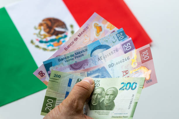 El mito del dinero fácil: Solo el 9% de las estrategias de inversión en Bitcoin sobreviven a la volatilidad.